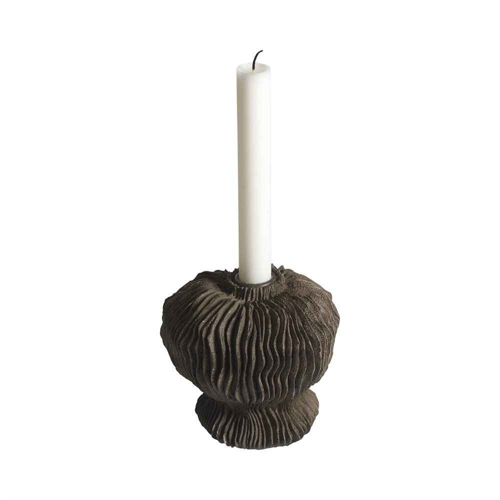 Bonnie Ljusstake, Låg, Brun
