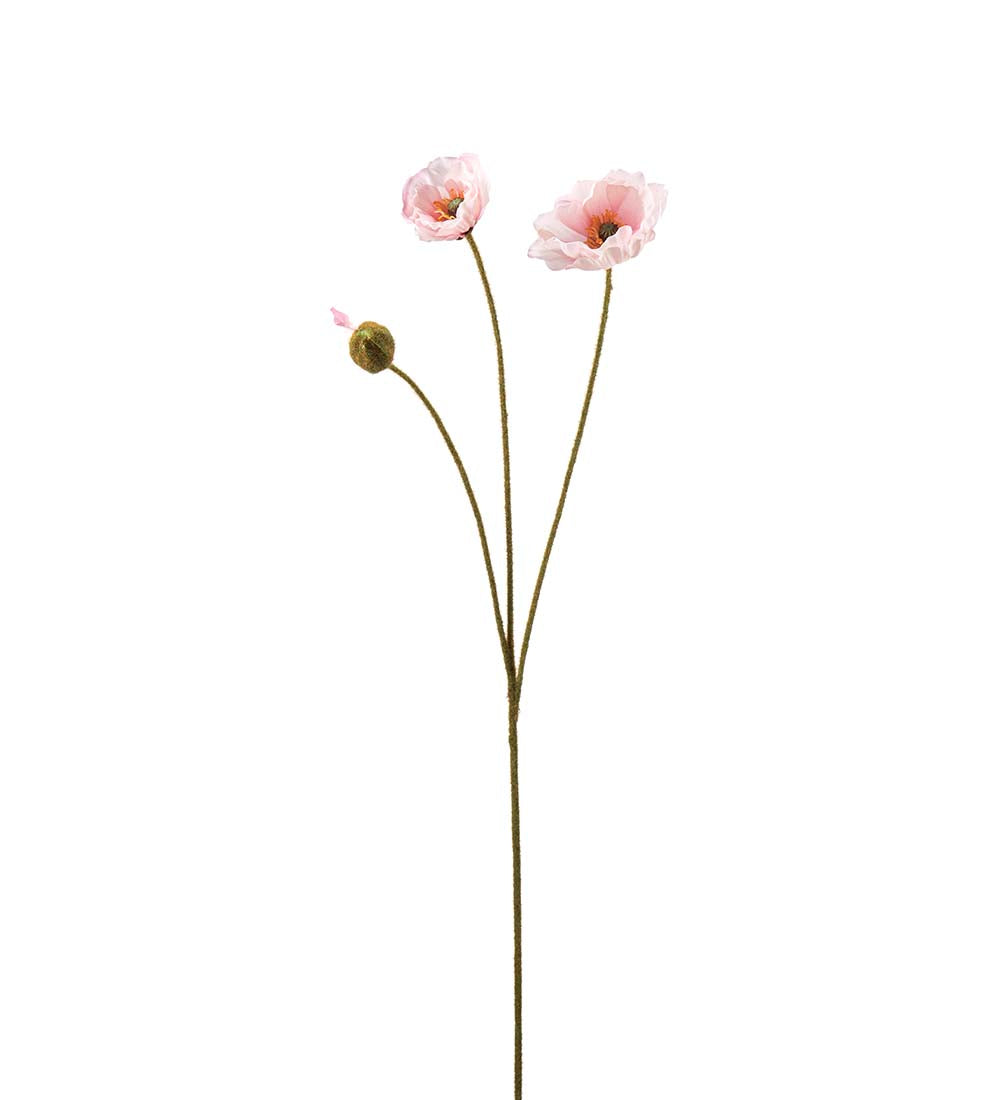 Vallmo, 75 cm, Rosa
