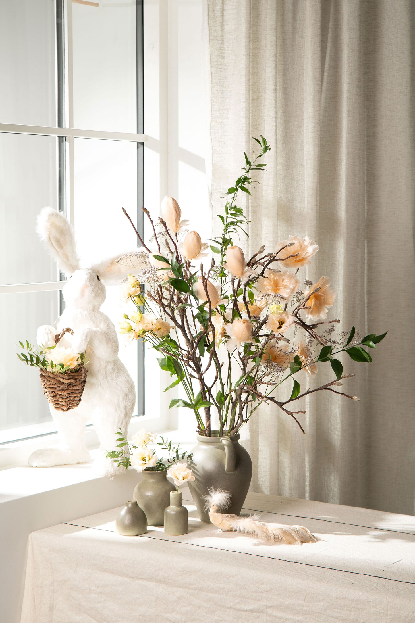 Fjäderblomma Kvist, Aprikos