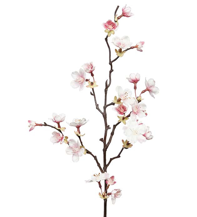 Körsbärsblom Rosa, 60cm