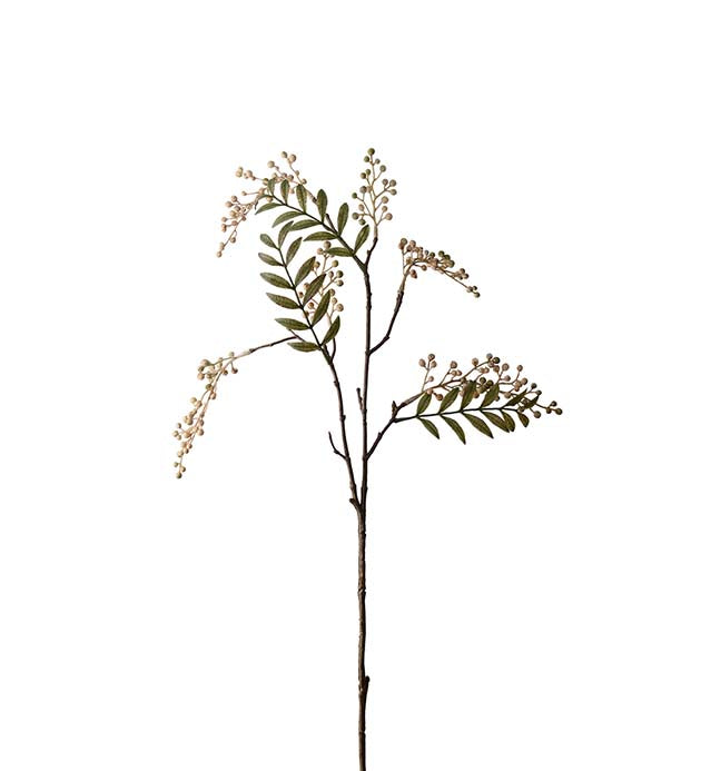 Bärkvist, 70 cm, Grön