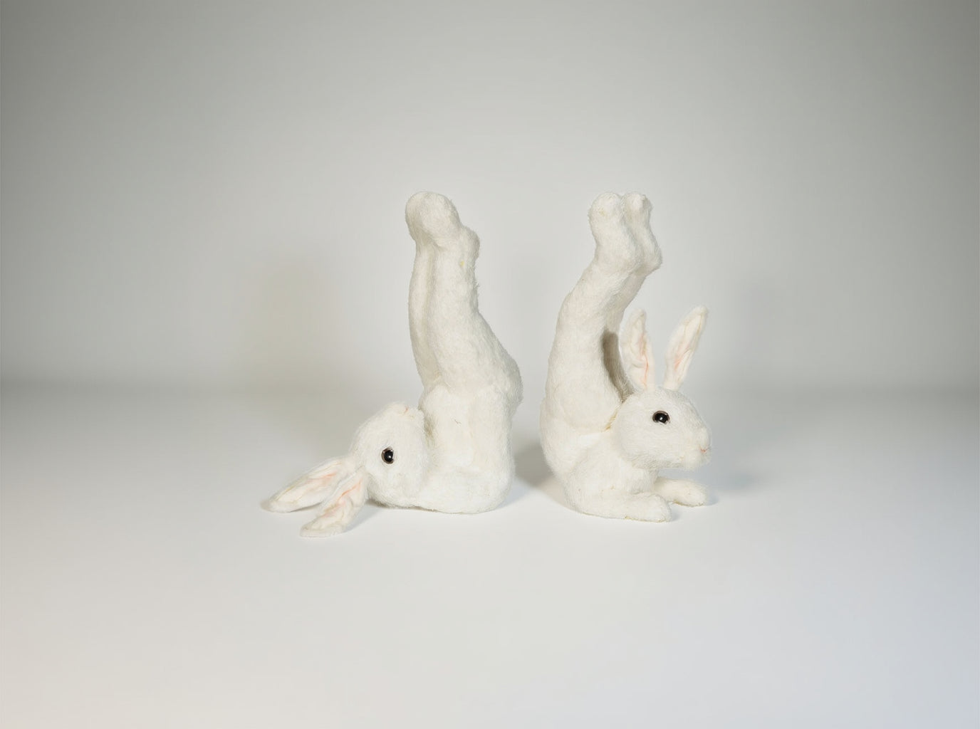 Hare Tränar på Mage, Vit