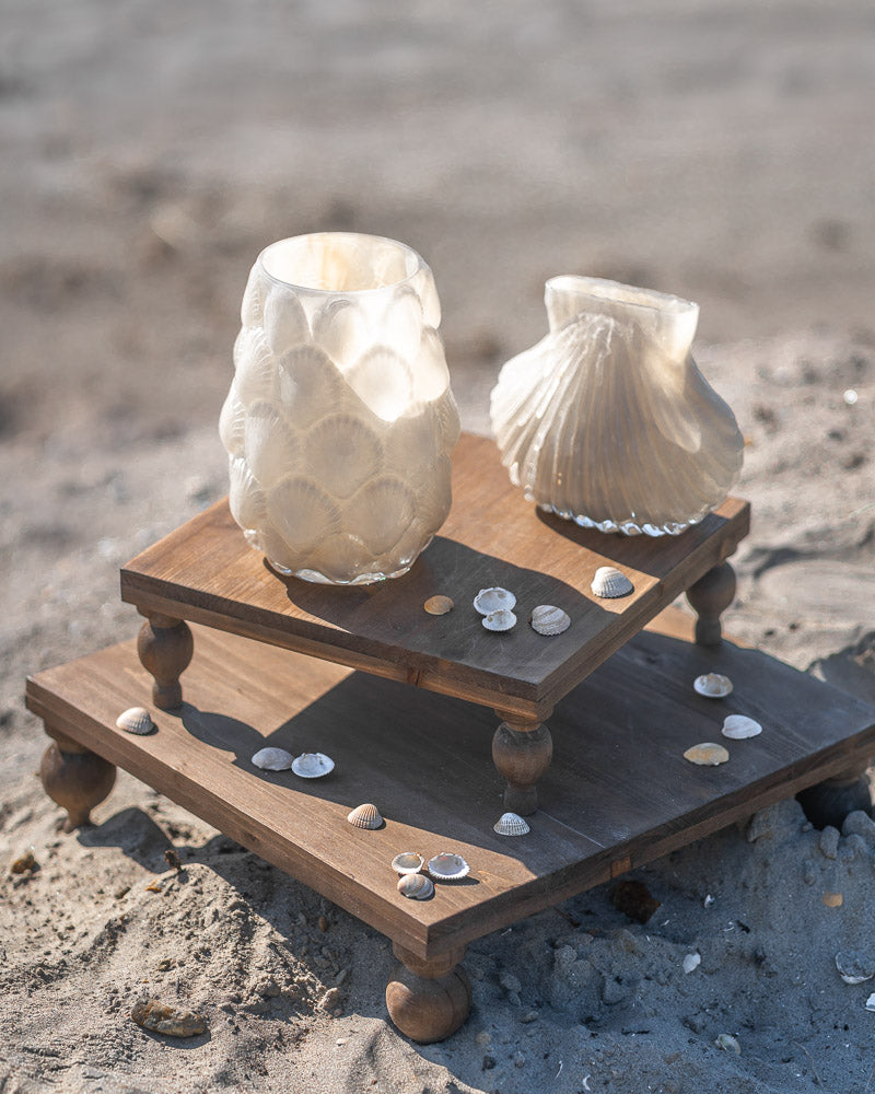 Snäckor Vas, Pärlvit