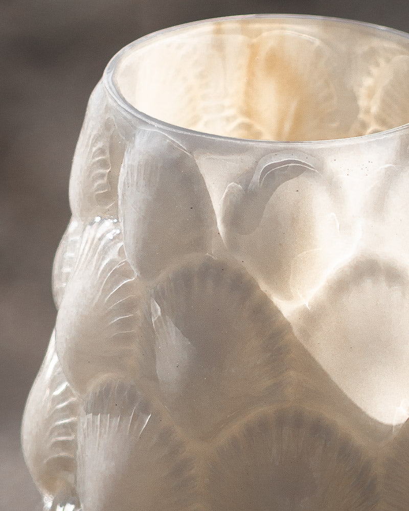 Snäckor Vas, Pärlvit