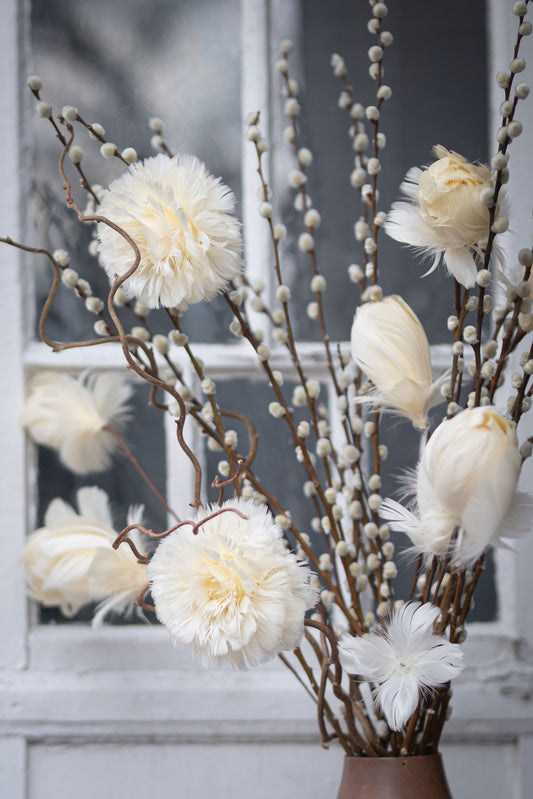 Fjäderblomma med Clip, Vanilj