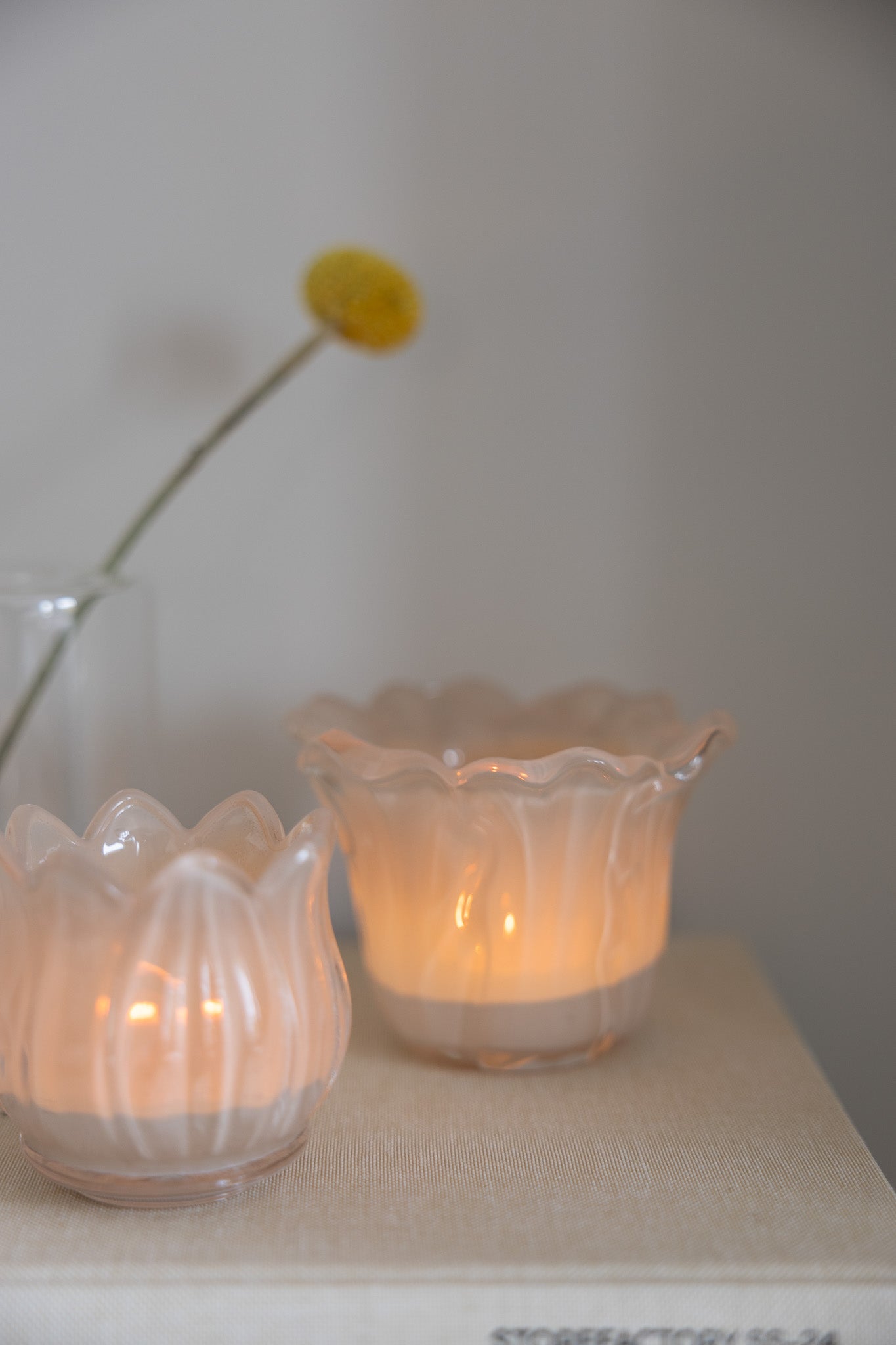 Ljunga Ljuslykta, Beige