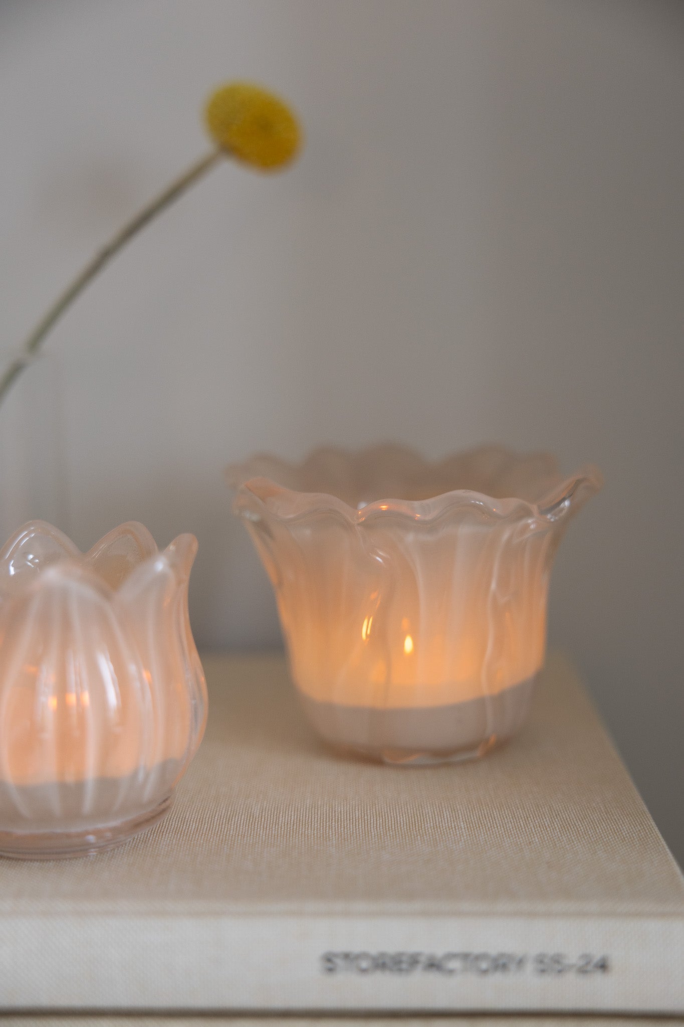 Ljunga Ljuslykta, Beige