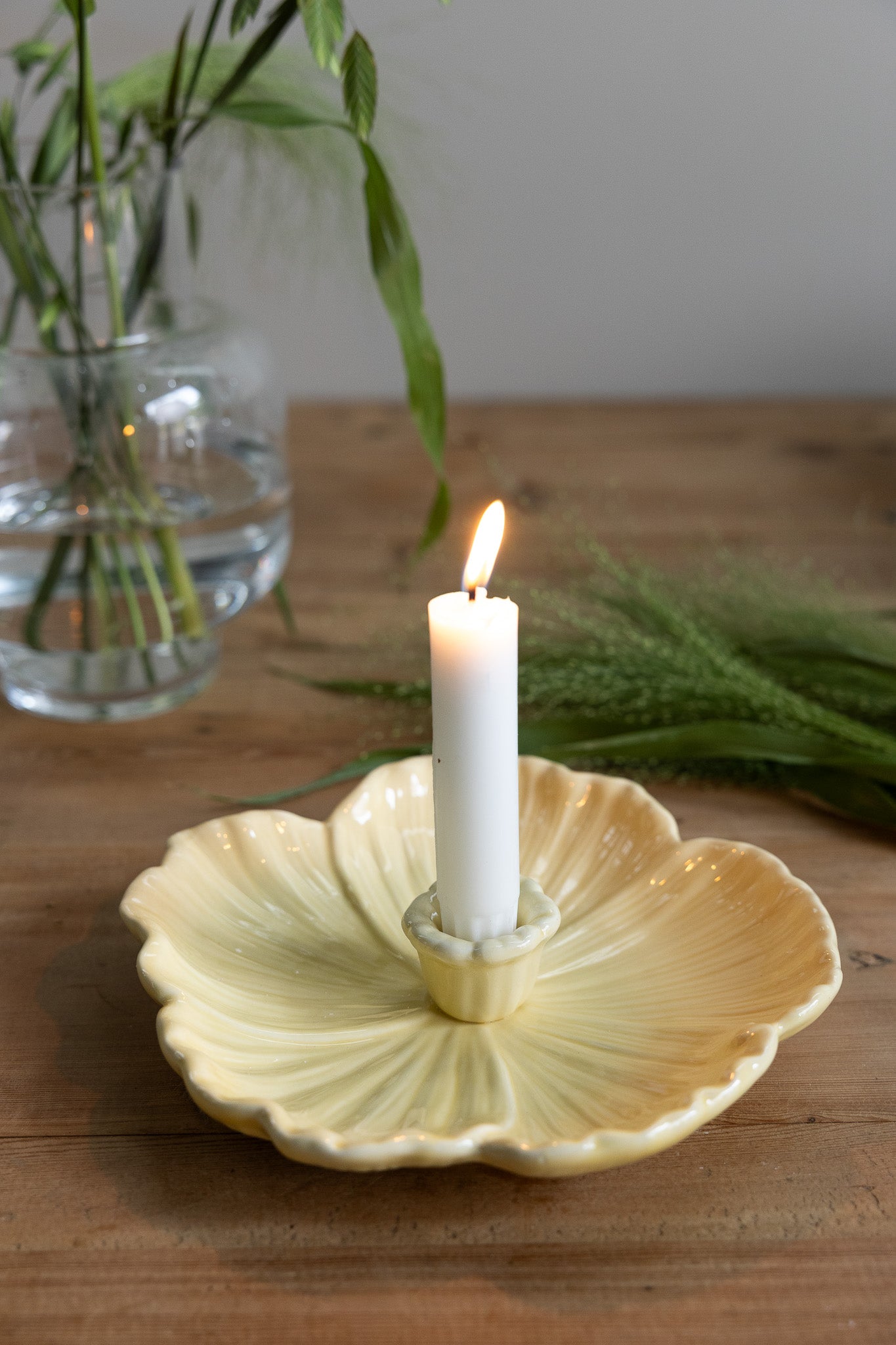 Botanik, Stor Ljusgul Ljusstake