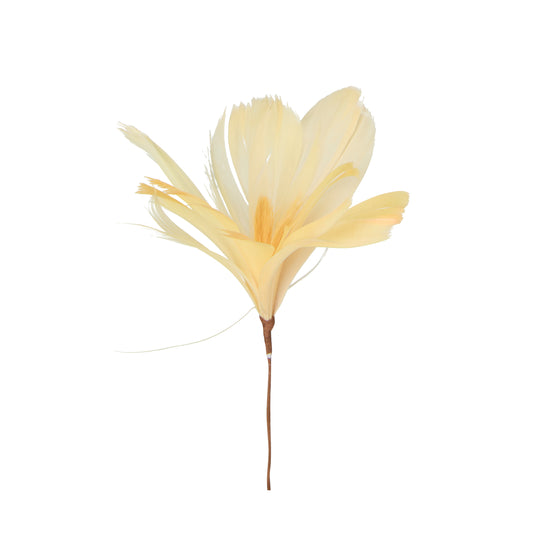 FJÄDER med Tråd, Aprikos, 12-pack