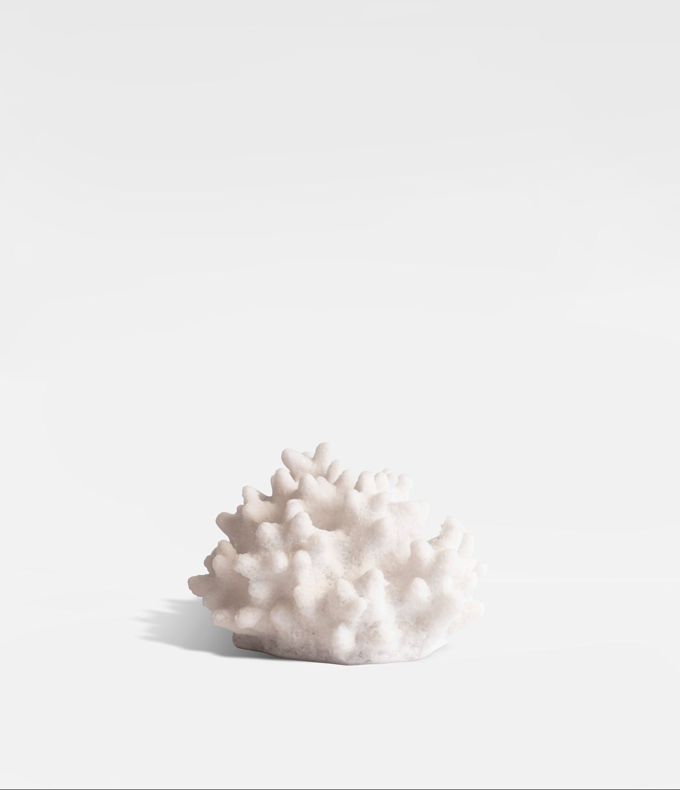 Lampa Korall, Ametist, Vit