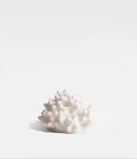 Lampa Korall, Ametist, Vit