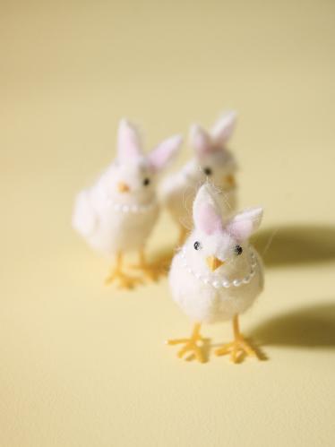 Kyckling med pärlhalsband, Vit