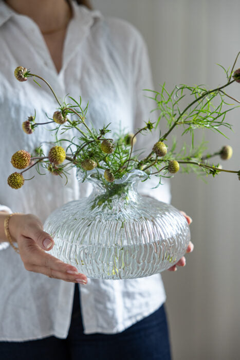 Hovslätt Vas, Klarglas