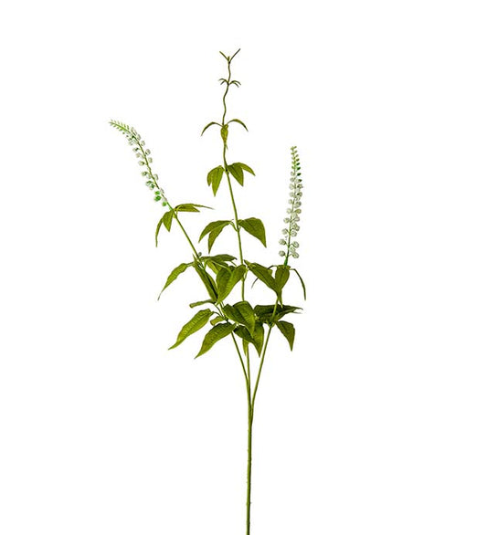 Lavendel, 70 cm, Vit