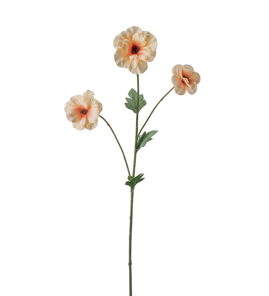 Japansk Ranuncel, 62 cm, Persika