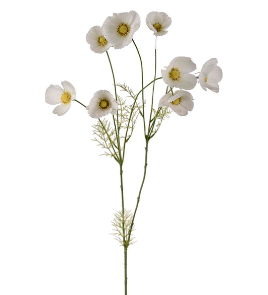 Rosenskära , 100 cm, Vit