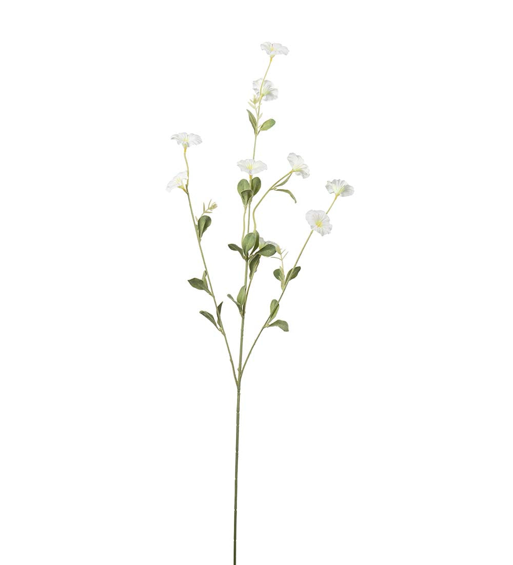 Blomma för dagen, 90 cm, Vit