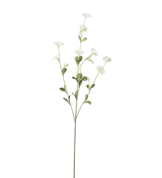Blomma för dagen, 90 cm, Vit