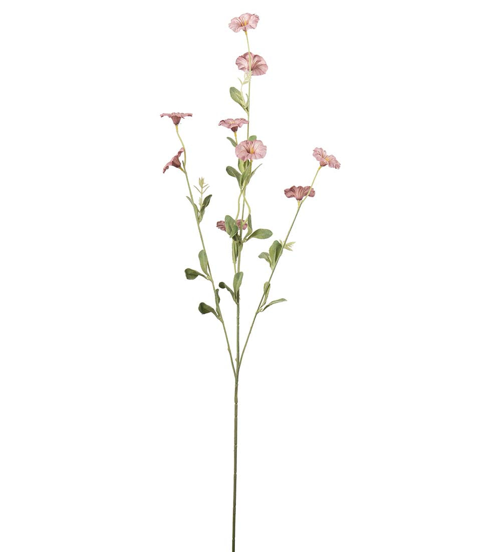 Blomma för dagen, 90 cm, Rosa