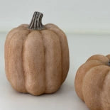 Dekorations Pumpa, L