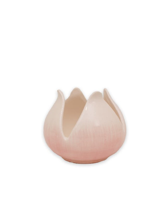 Ljuslykta Blomma, Stor, Rosa
