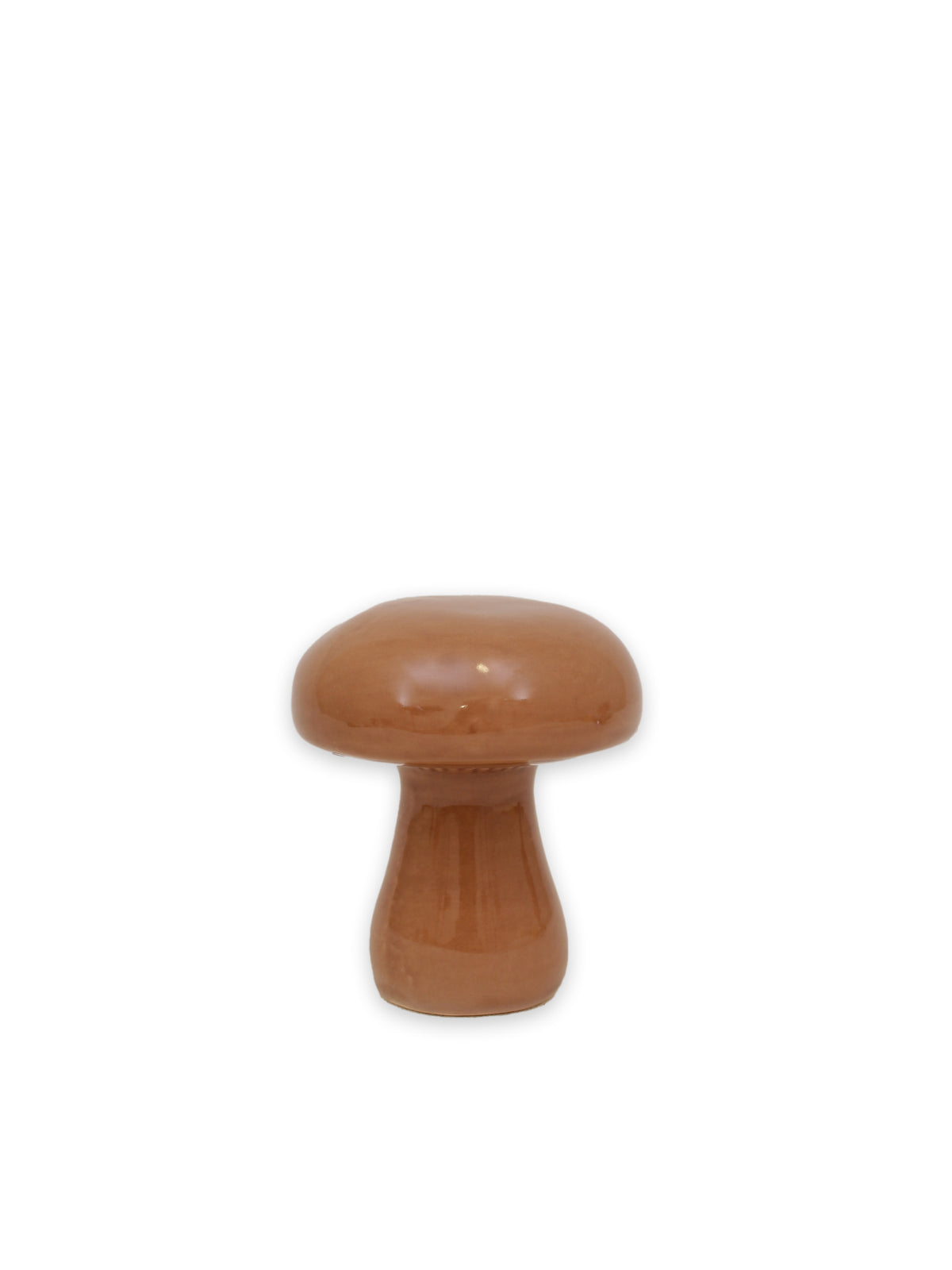 Svamp Nougat, L