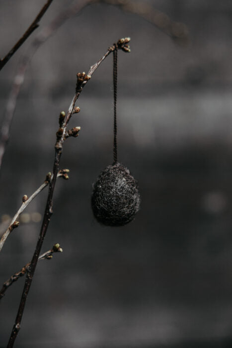 Mörkbrunt tovat ägg, Liten