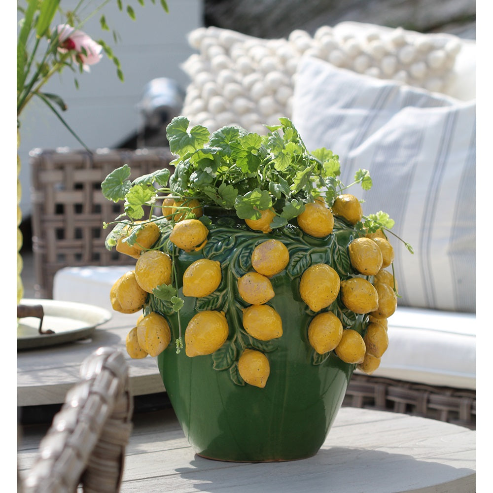 Citron Urna, Gul 36*32cm