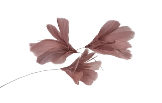 Fjäder Trådad, Mullvad, 12-pack