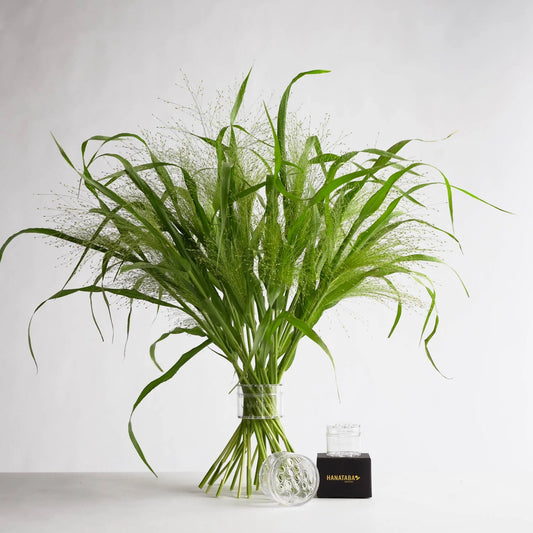 Hanataba Crystal Clear, 2-pack