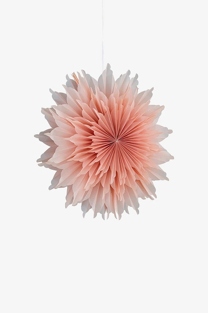 Vanja Julstjärna D50 cream/rosa