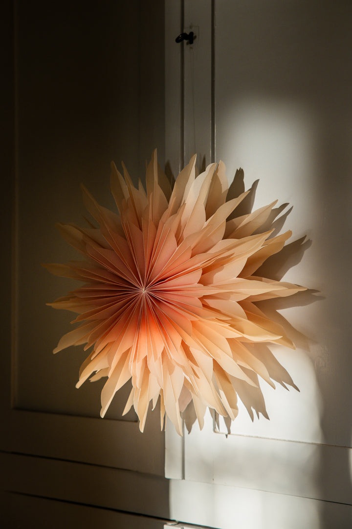 Vanja Julstjärna D50 cream/rosa