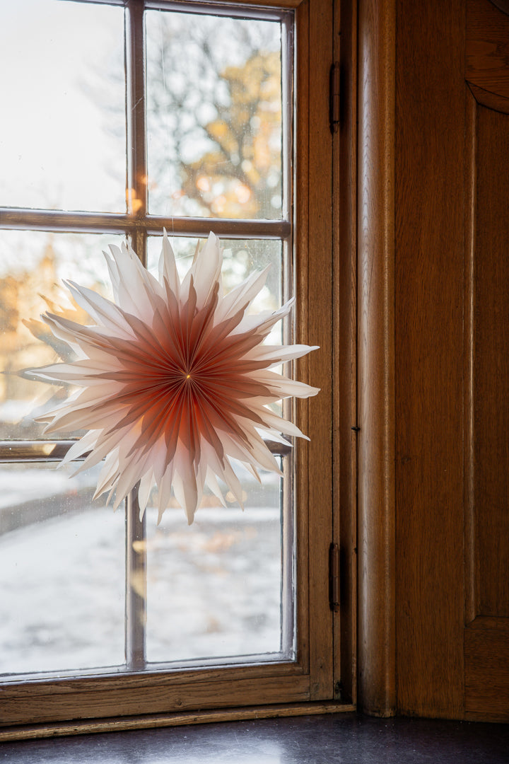 Vanja Julstjärna D50 cream/rosa