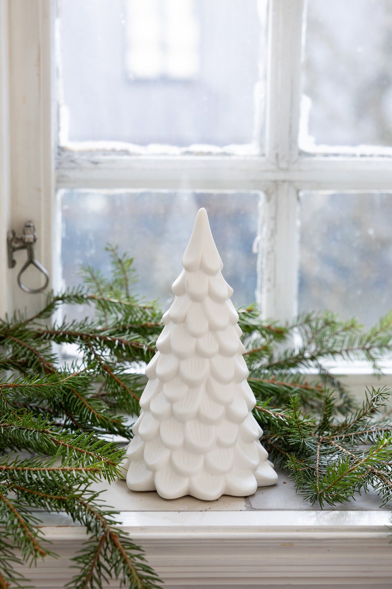 Norrskog Gran, Vit, Stor