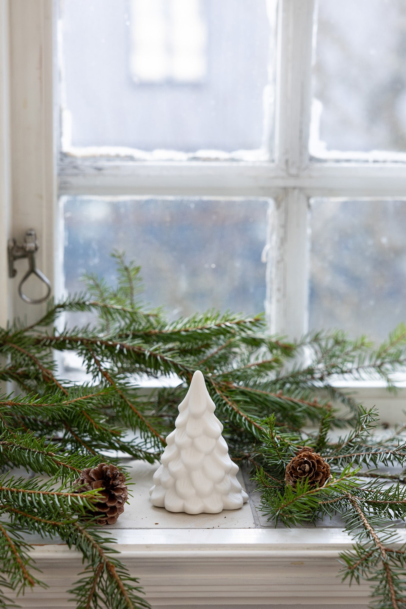 Norrskog Gran, Vit, Liten