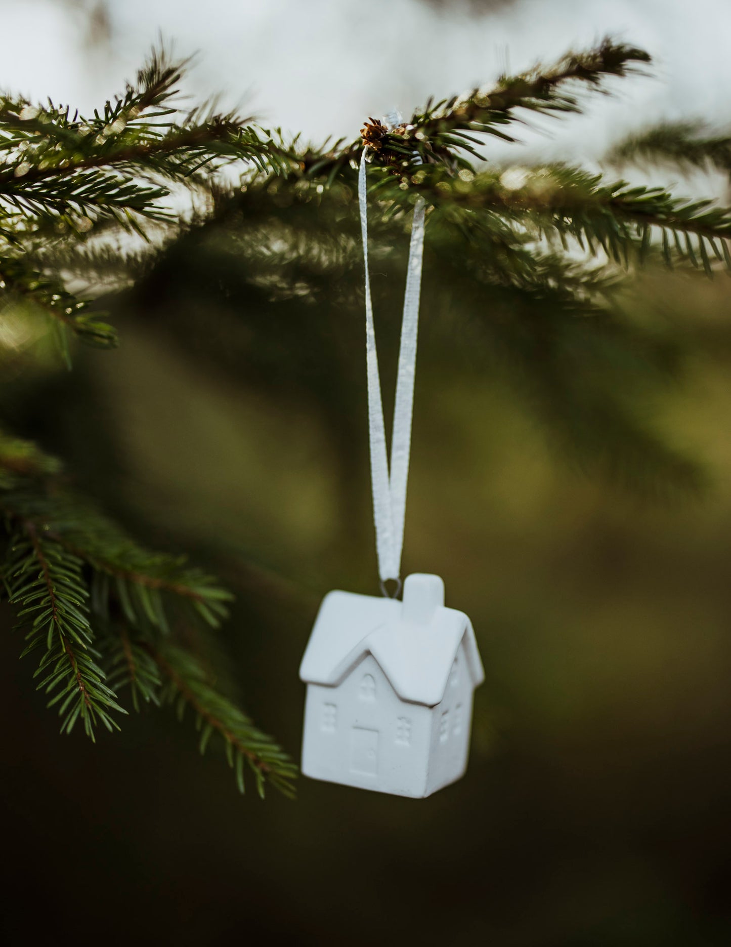 Byhus Nr2, Juldekoration, Vit