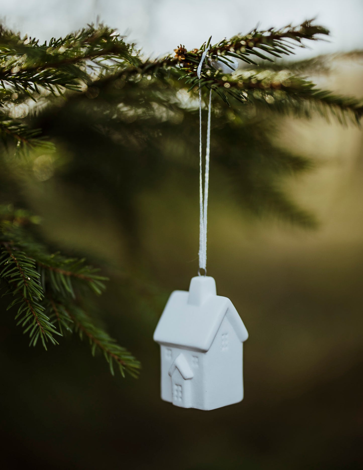 Byhus Nr3, Juldekoration, Vit