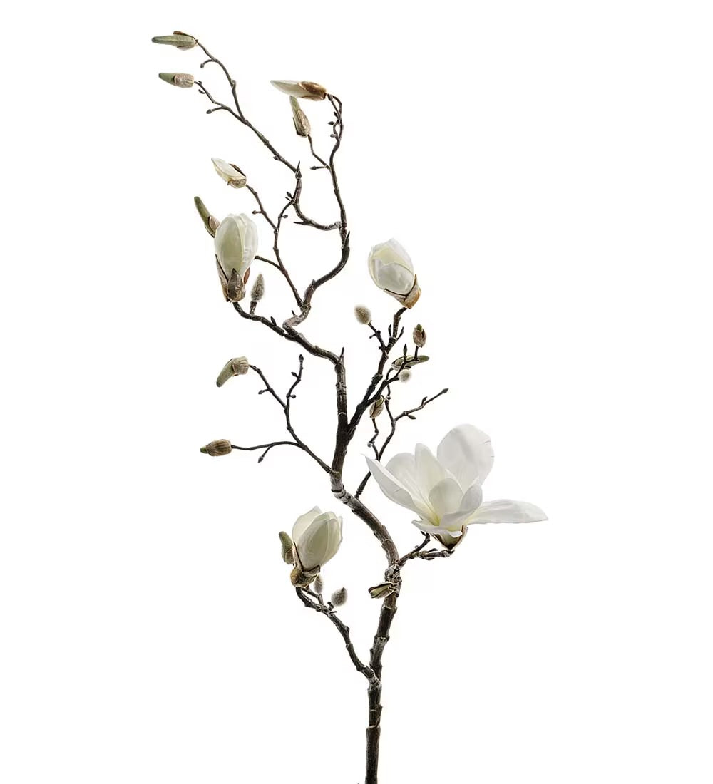 Magnolia, 135 cm, Vit