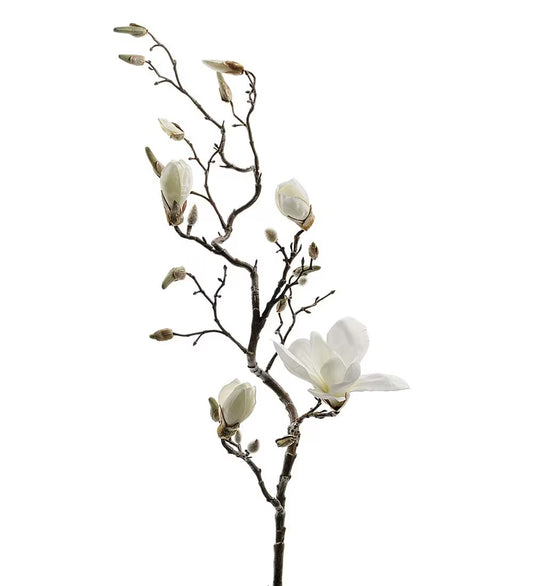 Magnolia, 135 cm, Vit