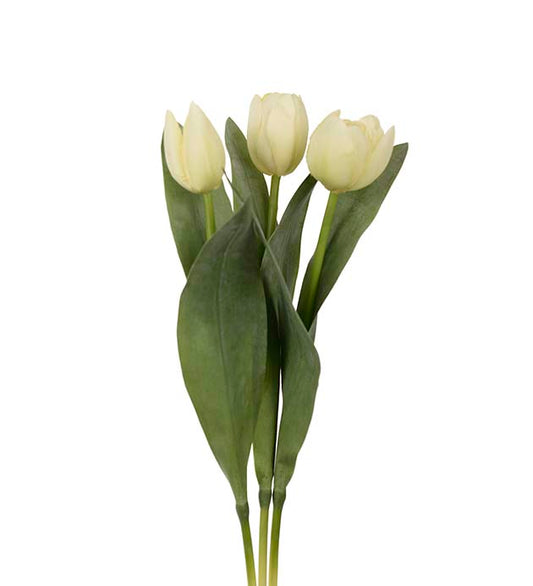 Tulpan, 36 cm, Ljusgul