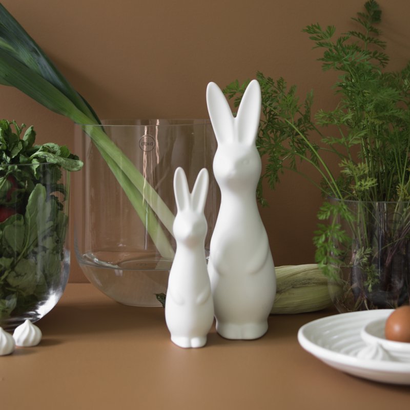 Swedish Rabbit, Liten, Vit
