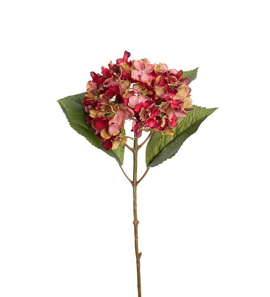 Hortensia, 40 cm, Röd
