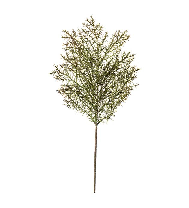 Barrkvist, 50 cm, Grön