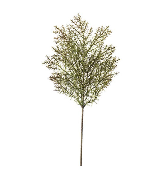 Barrkvist, 50 cm, Grön