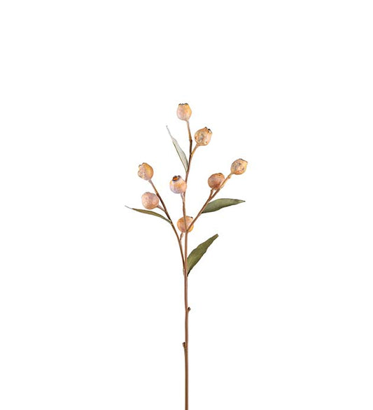 Eucalyptuskvist med bär, 65 cm, Grön / Beige