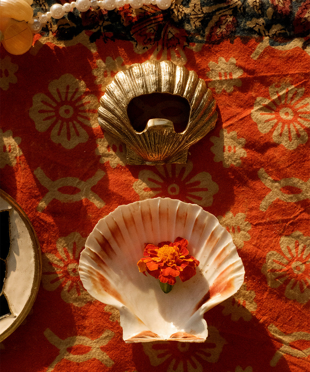 Scarlett Shell, Flasköppnare