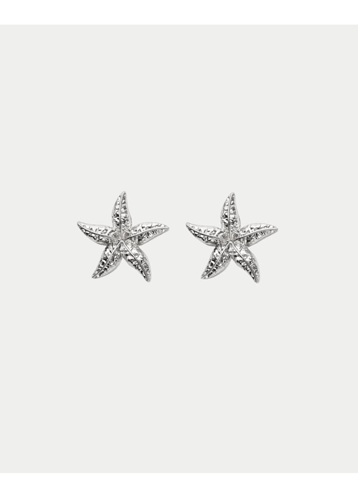 Starfish Örhängen, Stora, Silver