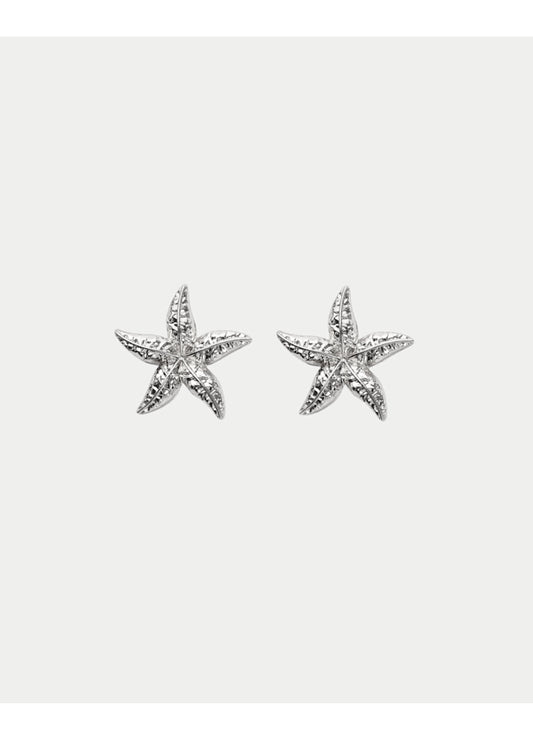 Starfish Örhängen, Stora, Silver