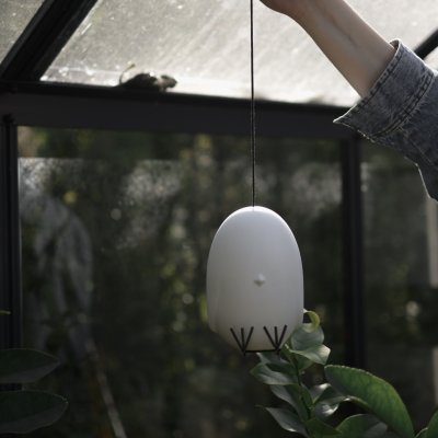 Hang Around, Kyckling, Vit