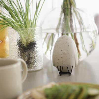 Sit Around, Kyckling, Mole Dot